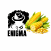 Тютюн Enigma Pachamama (Кукуруза) 100 г